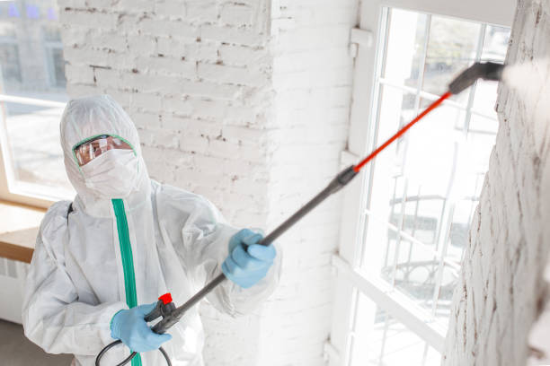 Reliable High Point, NC Mold Removal Solutions